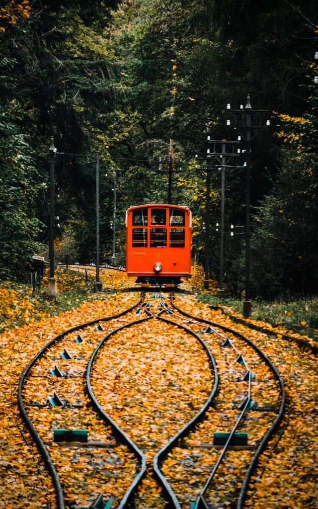 The beauty of the world belongs to everyone, let's share the beautiful scenery from all over the world!