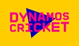 Y5/6 Tunbridge Wells Dynamo Cricket Tournament | The Nevill Ground