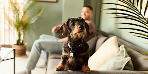 Walk In Packs | New Acres, Wandsworth