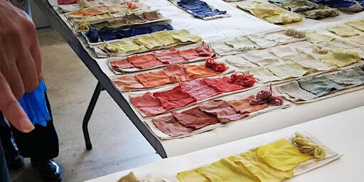 Introduction to Natural Dyeing | The Art House