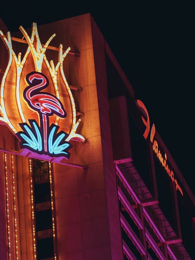 5-star hotel circle