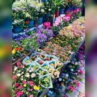 花香撲鼻