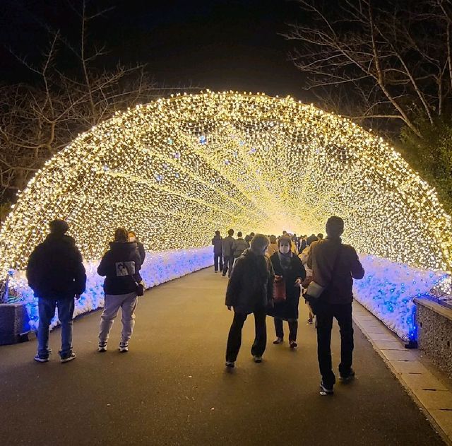この冬、日本最大級のイルミネーションへ【なばなの里】⭐