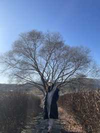 겨울에도 아름다운 남양주 :: 물의 정원
