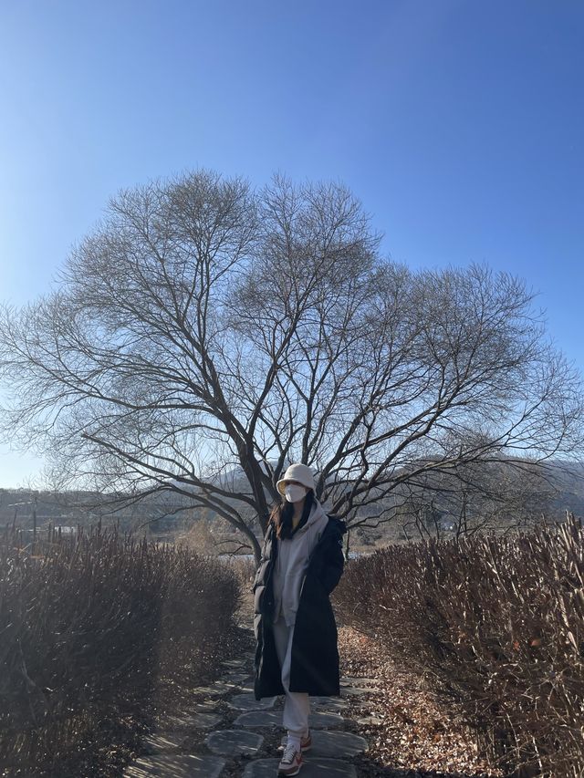겨울에도 아름다운 남양주 :: 물의 정원