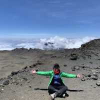 the majestic Peak of Kilimanjaro