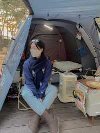 콘서트 티켓팅만큼 예약이 힘든, 연곡 솔향기 캠핑장