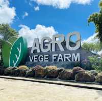 AGRO VEGE FARM