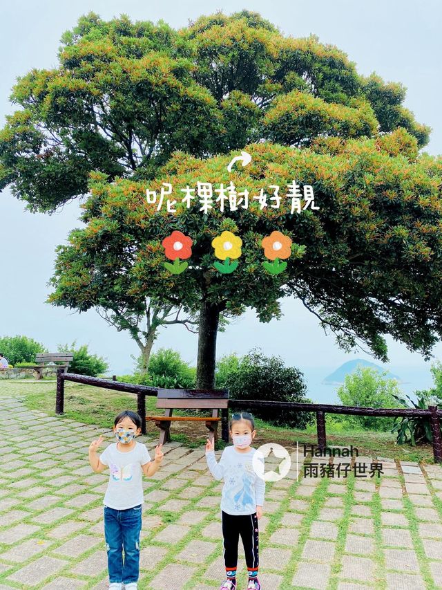 海鮮+放風箏