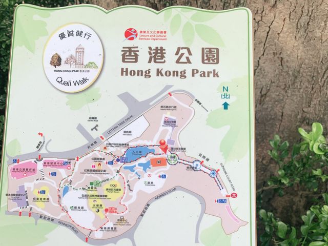 城市內小型森林 ~ 香港公園