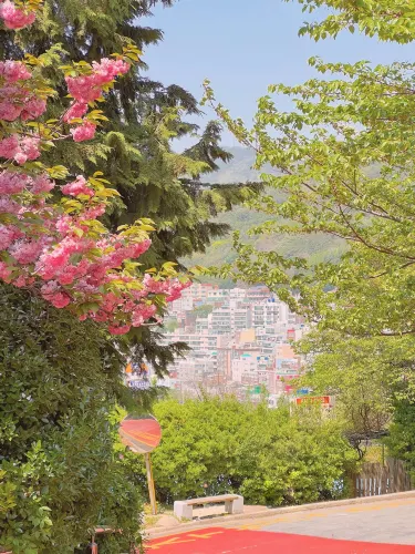 부산의 겹벚꽃 명소 민주공원
