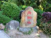 九龍之最~飛鵝山⛰️