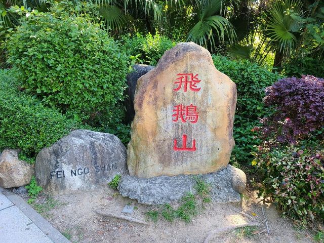 九龍之最~飛鵝山⛰️