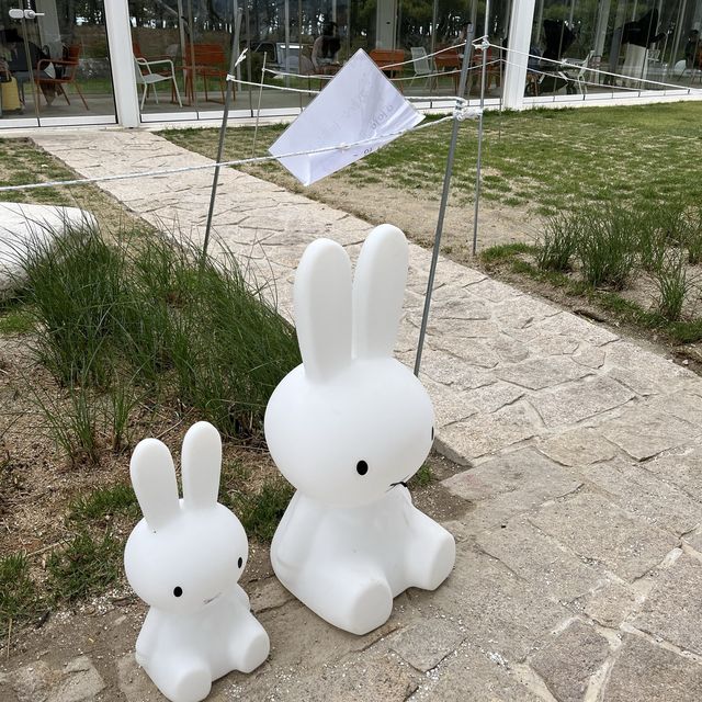 강릉 창해로 반려견 동반 대형카페 "엔드 투 앤드"