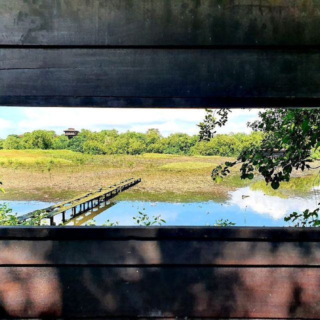 Wonders of Nature at Sungei Buloh Wetland