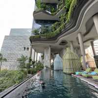 Jungle Hotel Lifestyle Room 