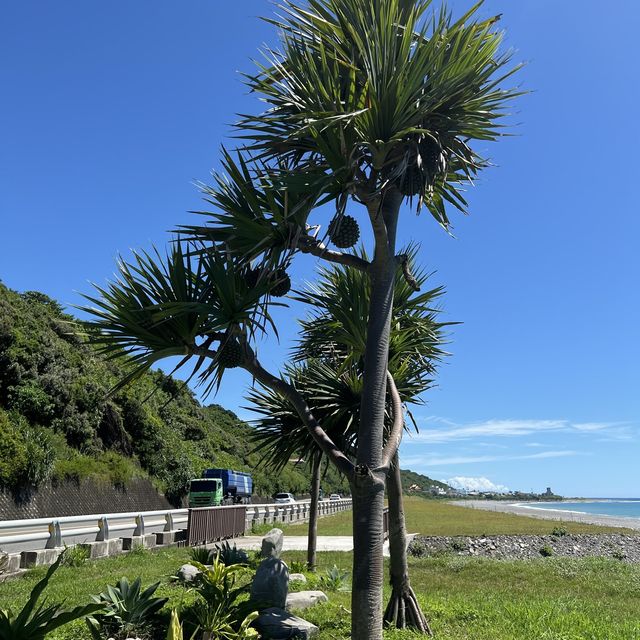 花蓮沿海公路美麗造景｜通往天堂的階梯，吸引好多人來拍照