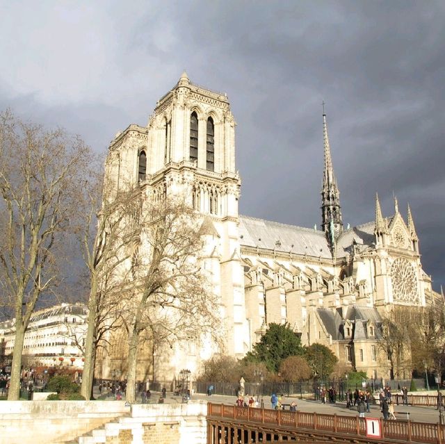 Cathedrale Notre Dame de Paris