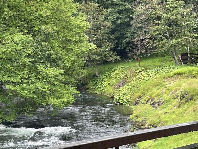 【北海道:阿寒湖温泉】大自然を楽しむお宿で過ごす休日