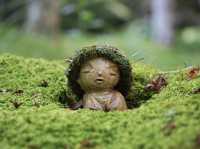 【京都】三千院　苔の庭園がとても美しい
