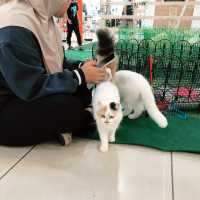 Cutie Animals @ Mojo Mini Farm Roadshow