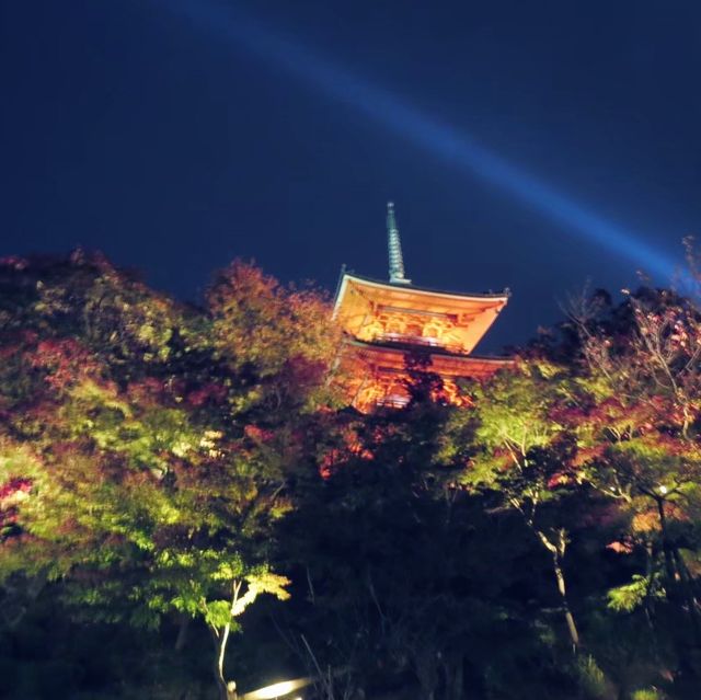 【京都府】人気観光スポット「清水寺」へ！