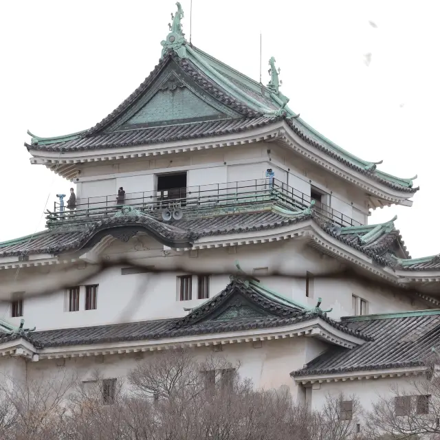 【和歌山城】自然とたわむれる公園