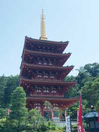 【東京都】氣をととえましょ　高幡不動尊🙏✨