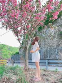 서산 당일치기 여행 여기 어때??