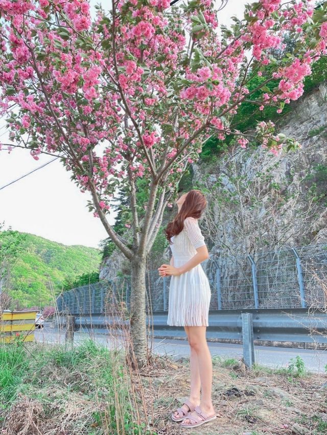 서산 당일치기 여행 여기 어때??