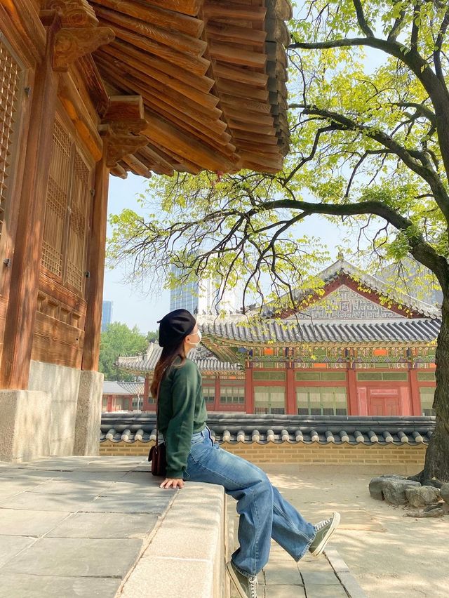 덕수궁 산책 🌿
