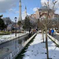 Istanbul Turkey features the Blue mosque.