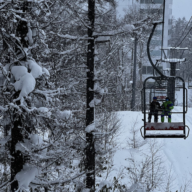 Niseko - The snowiest place on Earth!