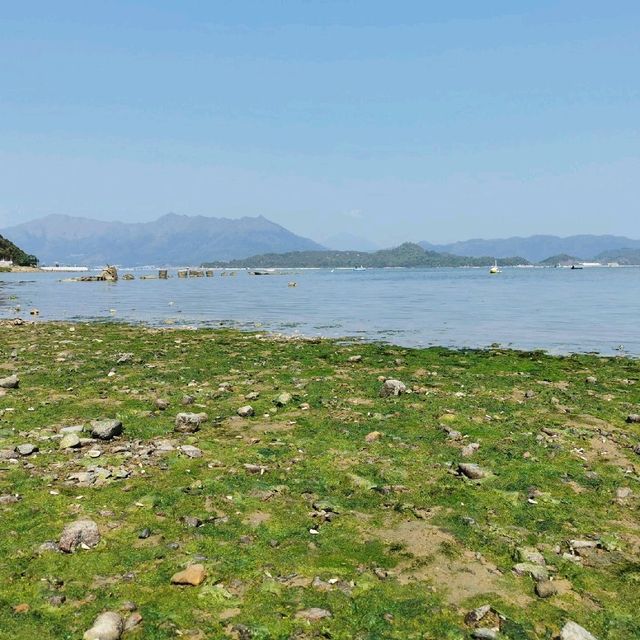 世外桃園西貢泥涌