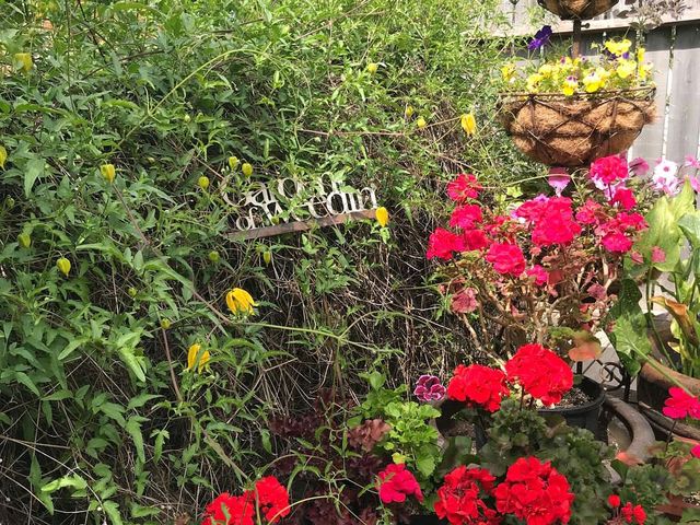 Jewell Gardens