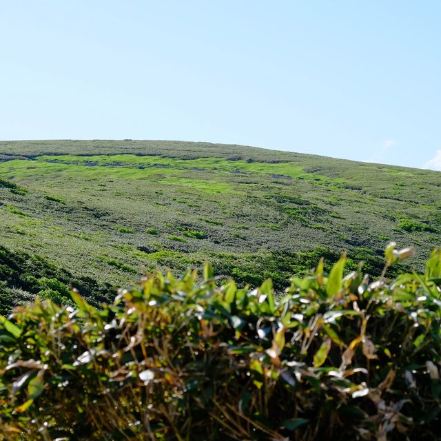 鳥海山からの下山