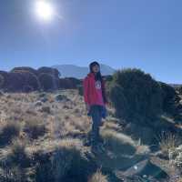 Cool Hiking at Kilimanjaro