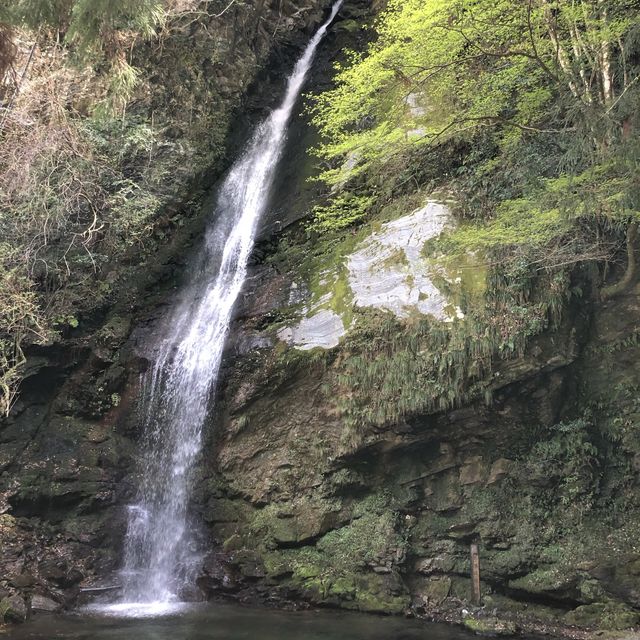 徳島県の秘境にある『琵琶の滝』