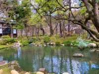 京都　SAKURA 桜めぐり❗️永観堂の桜に感動❗️
