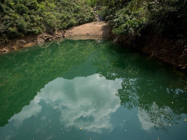 鬧市中的綠洲—牛鳥水塘