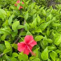屯門海濱花園