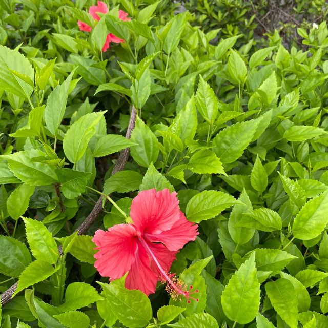 屯門海濱花園