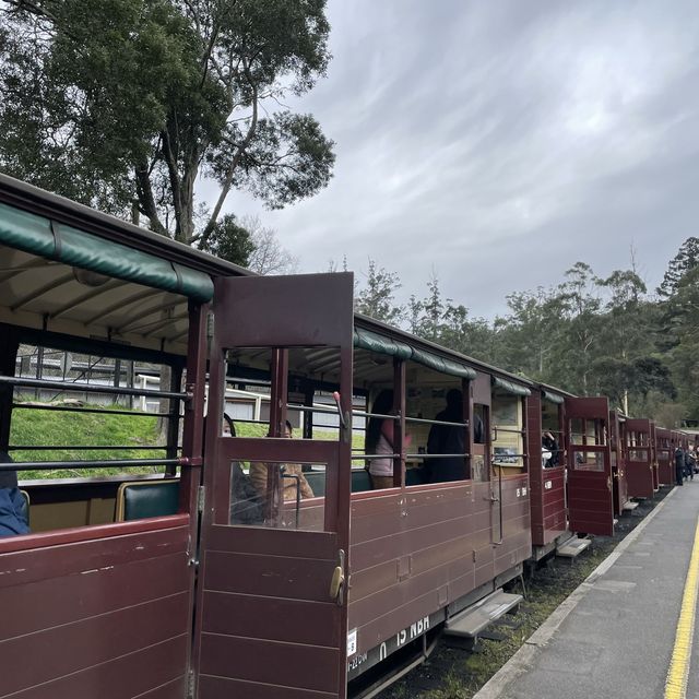 Puffing Billy Railway 