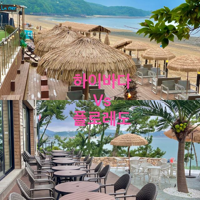 영흥도 대표카페 - 하이바다 vs 플로레도 비교 | 트립닷컴 인천 영흥도 대표카페 - 하이바다 vs 플로레도 비교 | 트립닷컴 인천 