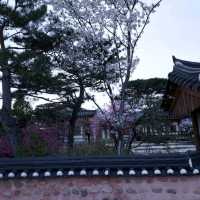Exploring Gyeongju Kyochon Hanok