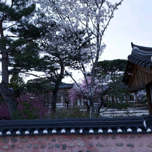 Exploring Gyeongju Kyochon Hanok