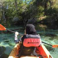 Crystal River at Weeki Wachee Springs