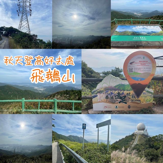 秋天登高好去處❤️飛鵝山大挑戰