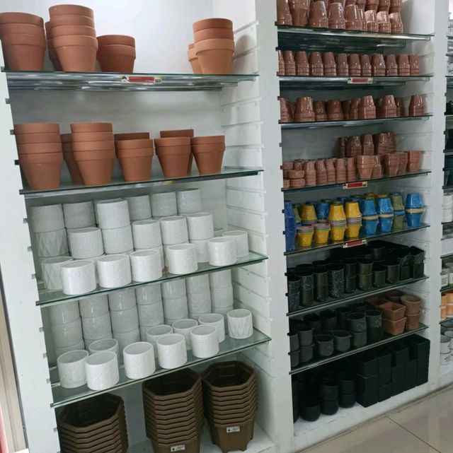 Plant Lovers Favourite Corner 