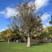 St James Park 